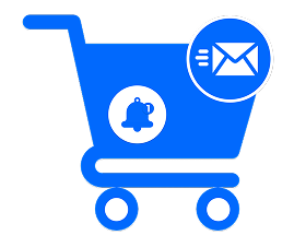 Abandoned Cart Email